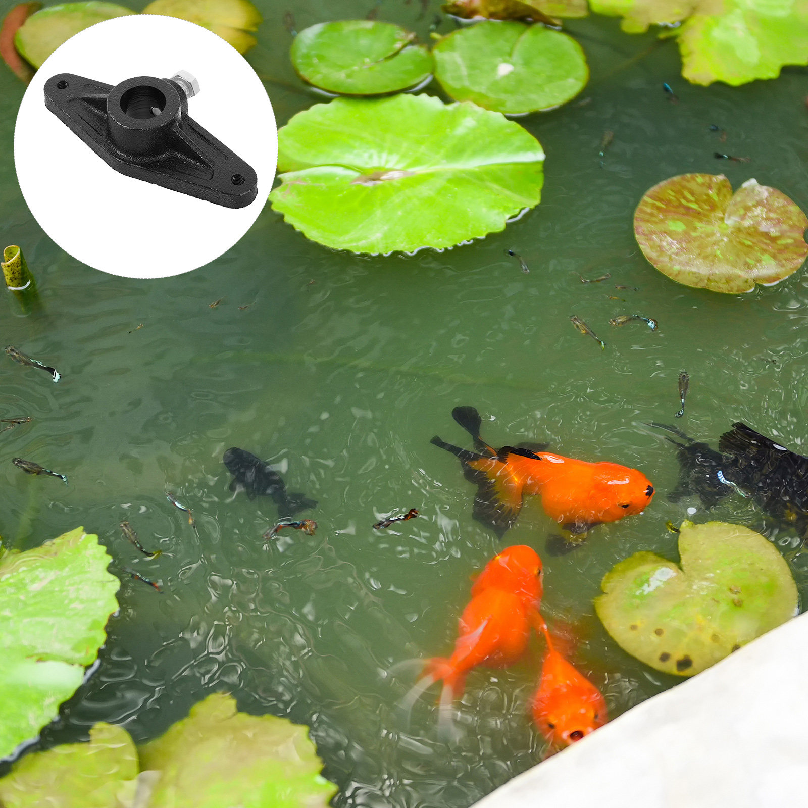 Fischrollen-Kurbelgriff, Schwa – Reel Handle Bewertung und Preis
