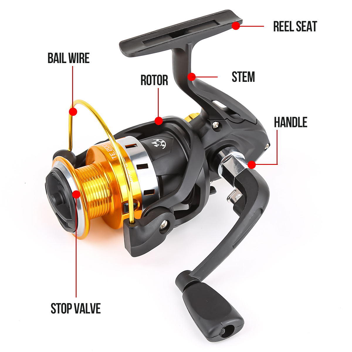 Spinnrolle mit Metallspule, We – Surf Reel Bewertung und Preis